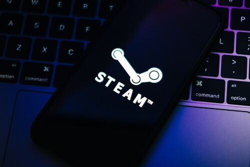 steam region